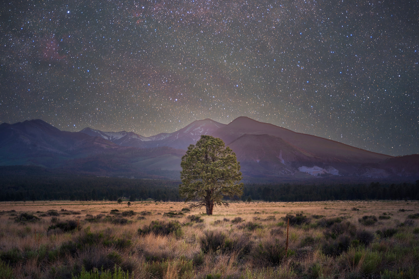 Sacred Peaks