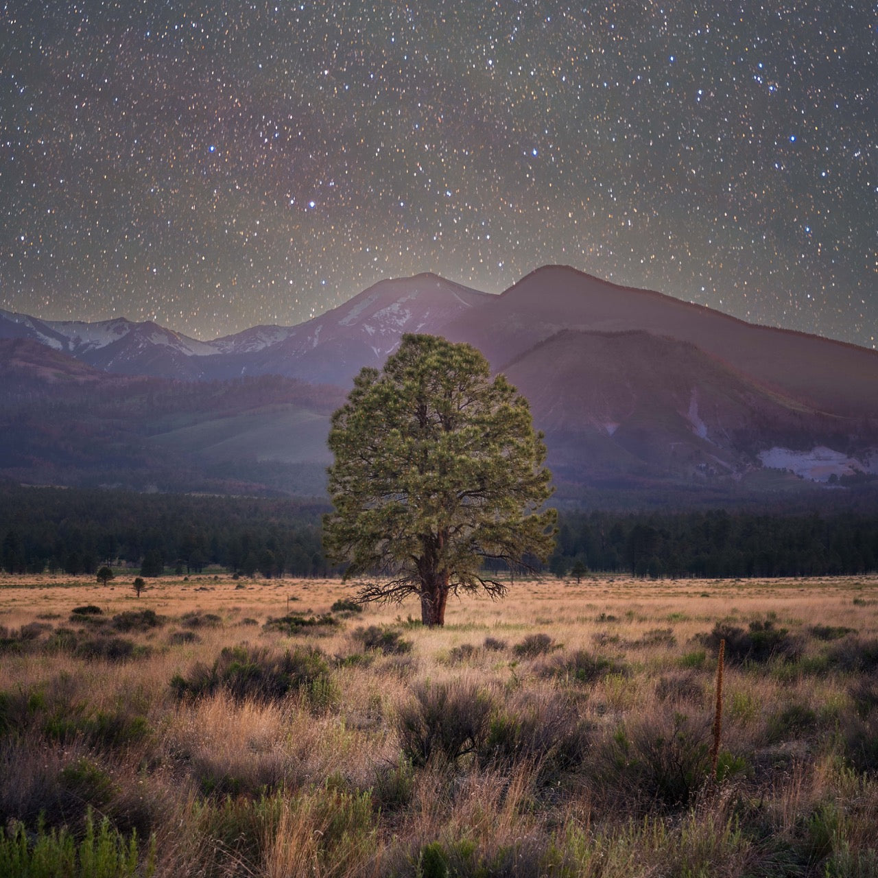 Sacred Peaks