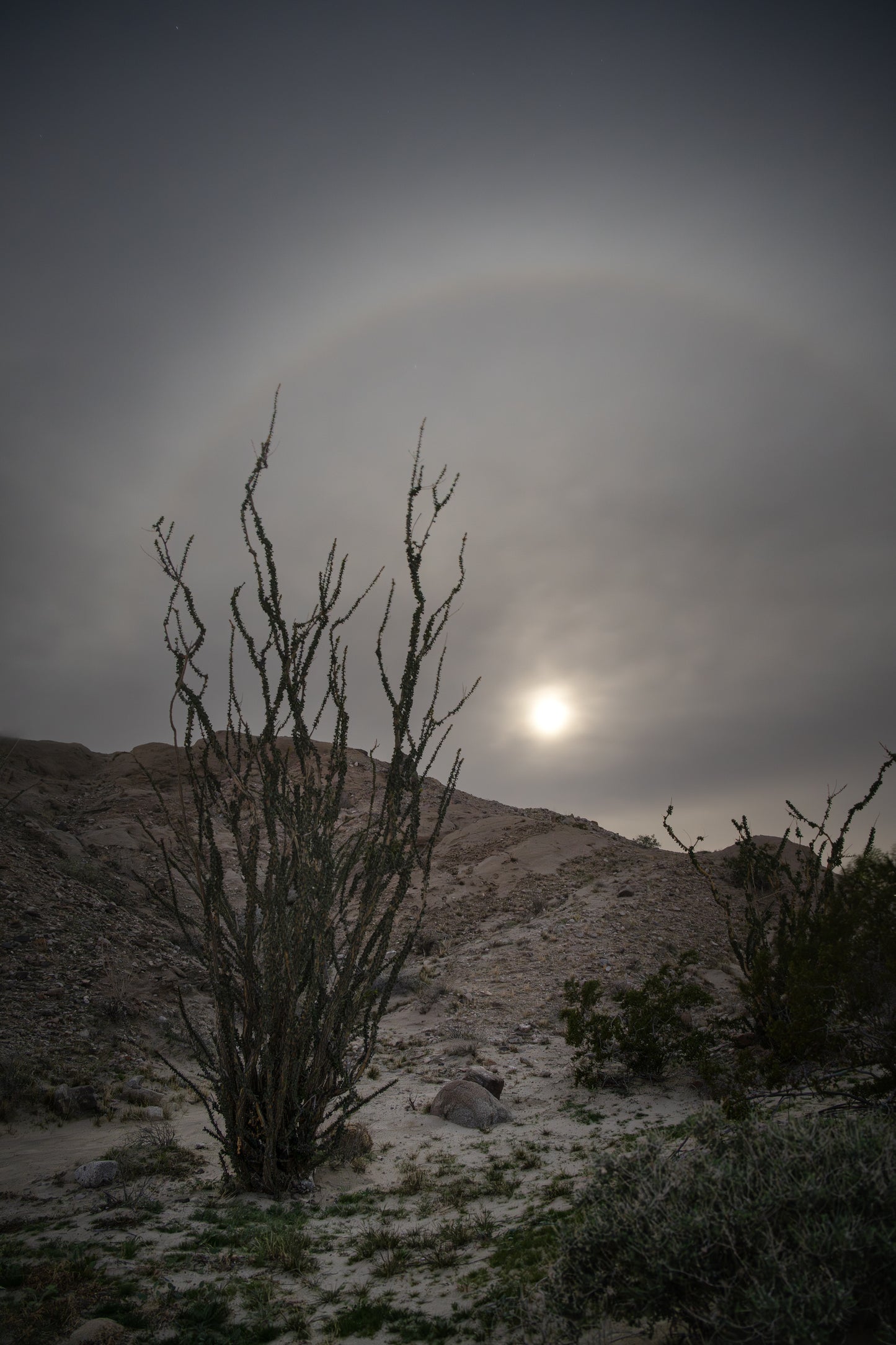 Silver Moon Ring