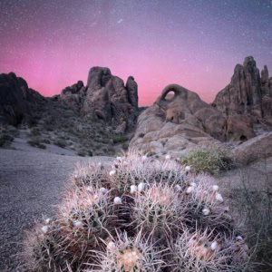 Rare aurora borealis night sky photograph over Alabama Hills, California, with a barrel cactus