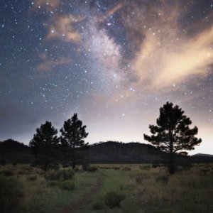 Night photography of a trail through Bonito Meadows under a cloudy Milky Way near Flagstaff, Arizona.