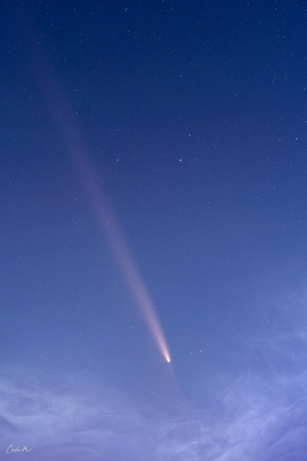 Photograph of Comet Tsuchinshan-ATLAS with its tail over Capitol Reef National Park in Utah.