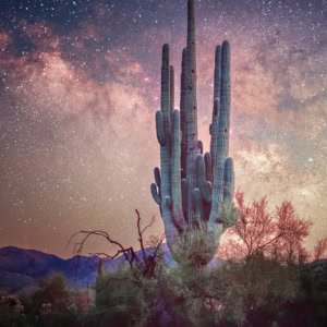 Nightscape image of a towering saguaro cactus under the Milky Way at Bartlett Lake, Arizona.