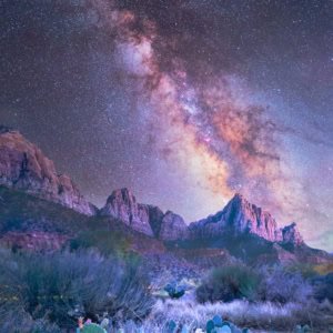"Night photography of the Milky Way over Zion's Watchman mountain with a prickly pear cactus in the foreground.