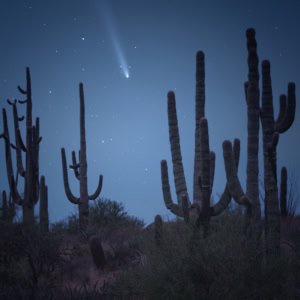 Comet Tsuchinshan-ATLAS over a saguaro forest in the Sonoran Desert near Scottsdale, Arizona.