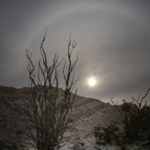 Night photograph of a full moon with a lunar halo over an ocotillo cactus in Anza-Borrego Desert State Park.