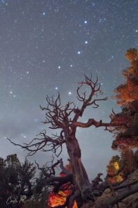 North Rim Embrace