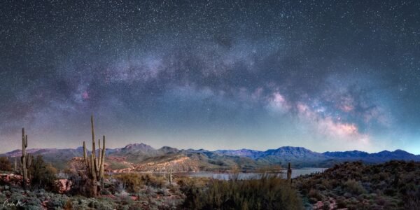 Bartlett Starlight