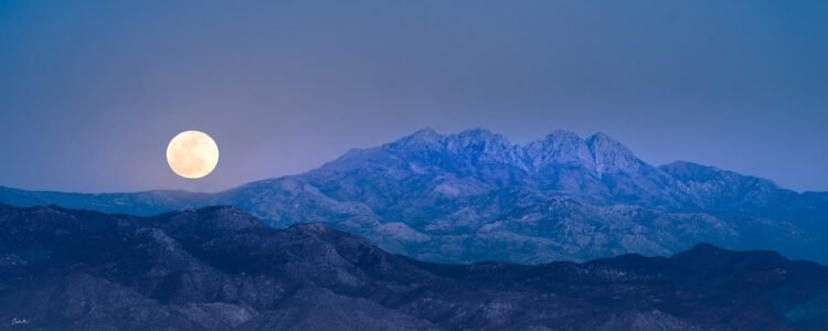 Blueberry Moon