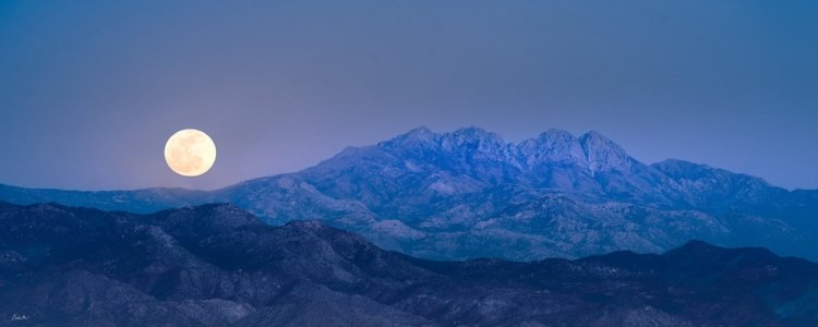 Blueberry Moon
