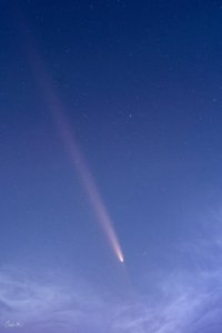 Comet T Comet T