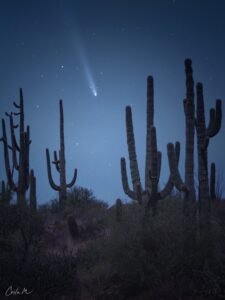 Comet Tsuchinshan-ATLAS over a saguaro forest in the Sonoran Desert near Scottsdale, Arizona.