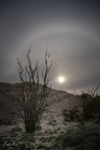 Silver Moon Ring