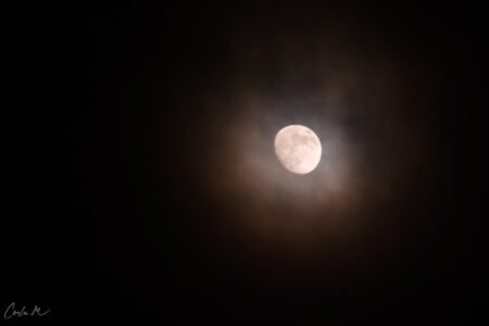 Whispering Moon