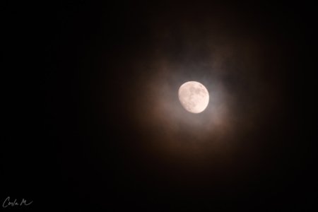 Whispering Moon Whispering Moon